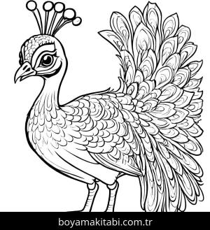 Tavus Kuşu boyama sayfası,  coloring page, çocuklar için, yuvarlak hatlı, karakterli