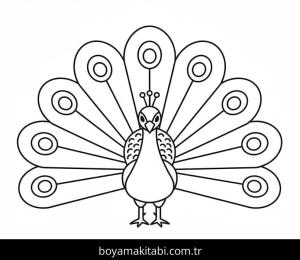 Tavus Kuşu boyama sayfası – keyifli zaman, renkli çizimler