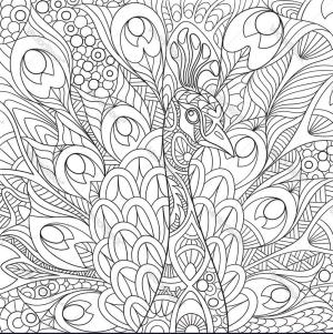 Tavus Kuşu boyama sayfası,  coloring page, Tavus Kuşu Mandala, 