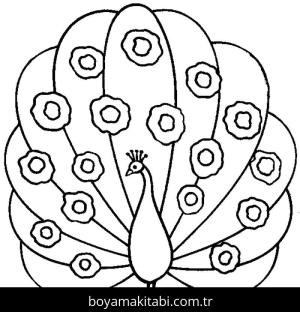 Tavus Kuşu boyama sayfası – çocuklar için, çizgi film temalı