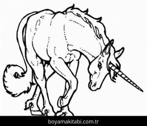 Tek Boynuzlu At Boyama