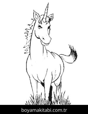 Tek Boynuzlu At boyama sayfası – çocuk aktivitesi, PDF indir