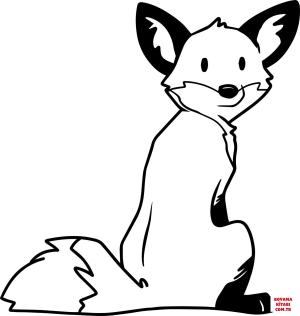 Tilki boyama sayfası, Foxes coloring page, , foxes cute red fox 