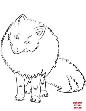 Tilki boyama sayfası, Foxes coloring page, , foxes cute arctic fox 