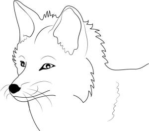 Tilki boyama sayfası, Foxes coloring page, Fox’un Yüzü, 