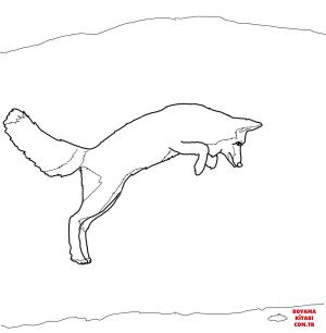 Tilki boyama sayfası, Foxes coloring page, , foxes arctic fox jump 