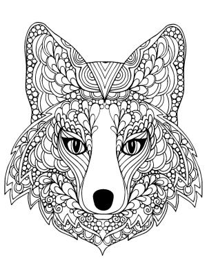 Tilki boyama sayfası, Foxes coloring page, Cool Fox’un Kafası, 