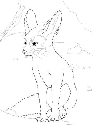 Tilki boyama sayfası, Foxes coloring page, , foxes fennec 