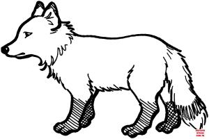 Tilki boyama sayfası, Foxes coloring page, , foxes red fox 