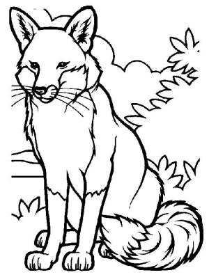 Tilki boyama sayfası, Foxes coloring page, Güzel Kızıl Tilki, 