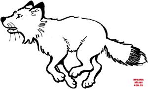 Tilki boyama sayfası, Foxes coloring page, , foxes red fox run 