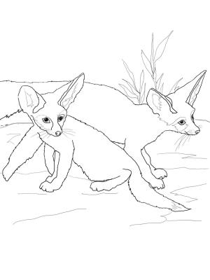 Tilki boyama sayfası, Foxes coloring page, , foxes fennec fox babies 