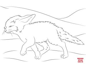 Tilki boyama sayfası, Foxes coloring page, , foxes cute fennec fox walks 