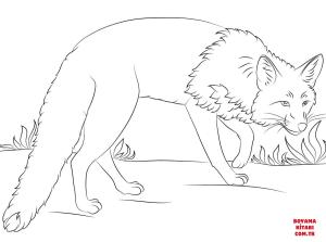 Tilki boyama sayfası, Foxes coloring page, , foxes crouching red fox 