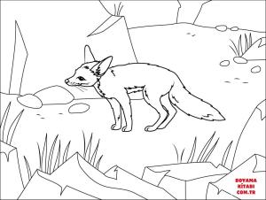 Tilki boyama sayfası, Foxes coloring page, , foxes pale fox 