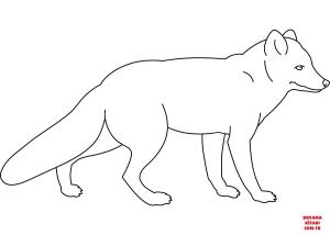 Tilki boyama sayfası, Foxes coloring page, , foxes fox 