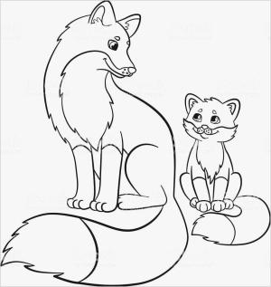 Tilki boyama sayfası, Foxes coloring page, Anne ve bebek tilki, 