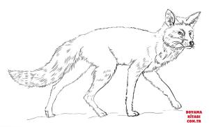 Tilki boyama sayfası, Foxes coloring page, , foxes realistic red fox 