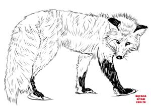 Tilki boyama sayfası, Foxes coloring page, , foxes red fox 