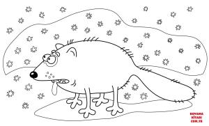 Tilki boyama sayfası, Foxes coloring page, , foxes arctic fox 