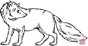 Tilki boyama sayfası, Foxes coloring page, , foxes fox looks back 