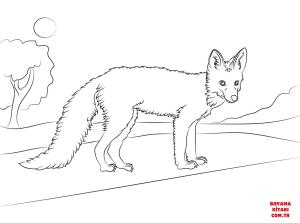 Tilki boyama sayfası, Foxes coloring page, , foxes young red fox 