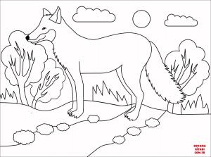 Tilki boyama sayfası, Foxes coloring page, , foxes red fox 