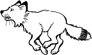 Tilki boyama sayfası, Foxes coloring page, Fox Koşusu, 