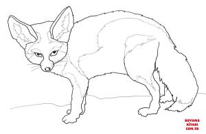 Tilki boyama sayfası, Foxes coloring page, , foxes fennec fox 