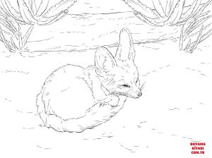 Tilki boyama sayfası, Foxes coloring page, , foxes fennec fox curls up into a ball 