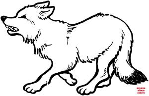Tilki boyama sayfası, Foxes coloring page, , foxes red fox growl 