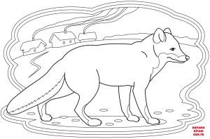 Tilki boyama sayfası, Foxes coloring page, , foxes fox 