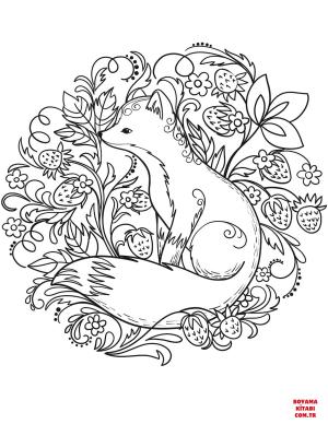 Tilki boyama sayfası, Foxes coloring page, , foxes fox 