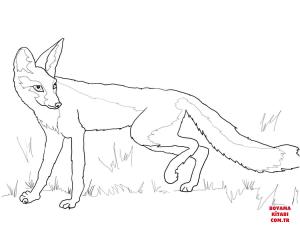 Tilki boyama sayfası, Foxes coloring page, , foxes kit fox 