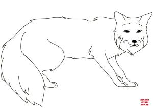 Tilki boyama sayfası, Foxes coloring page, , foxes red fox 