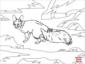 Tilki boyama sayfası, Foxes coloring page, , foxes blanfords fox 