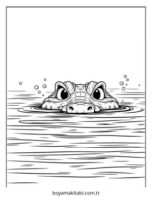 Timsah boyama sayfası – boyama çalışması, yaratıcılığı geliştirir