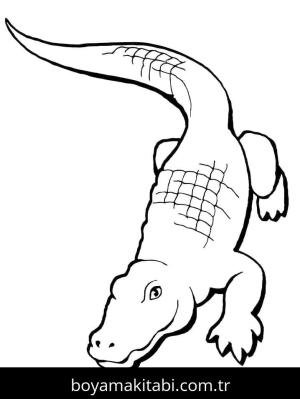 Timsah boyama sayfası – keyifli zaman, renkli çizimler