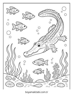 Timsah boyama sayfası – el becerilerini geliştirir, boyama çalışması