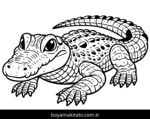 Timsah boyama sayfası – çizgi film temalı, basit çizim