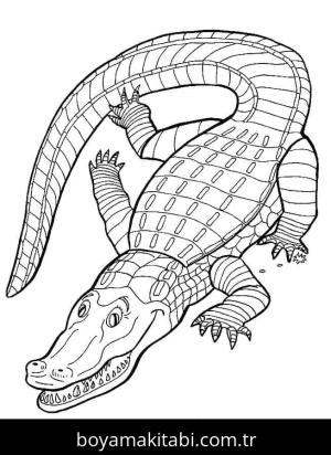 Timsah boyama sayfası – keyifli zaman, renkli çizimler