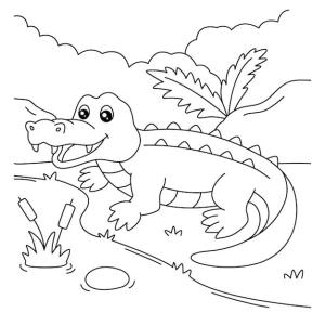 Timsah boyama sayfası,  coloring page, Eğlenceli Timsah, 