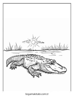 Timsah boyama sayfası – çocuk aktivitesi, PDF indir