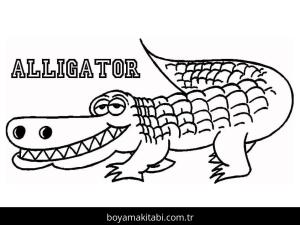 Timsah boyama sayfası – çocuk aktivitesi, PDF indir