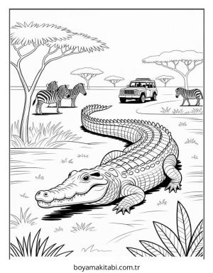 Timsah boyama sayfası – çizgi film temalı, basit çizim