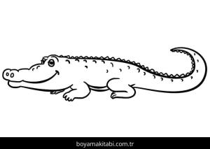 Timsah boyama sayfası – renkli çizimler, okul öncesi