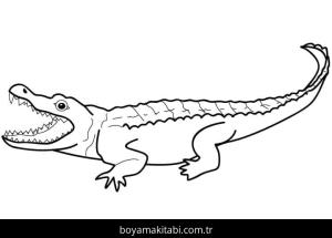 Timsah boyama sayfası – yaratıcılığı geliştirir, keyifli zaman