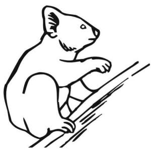 Tırmanma boyama sayfası,  coloring page, Koalalar Tırmanma Çizimi, 