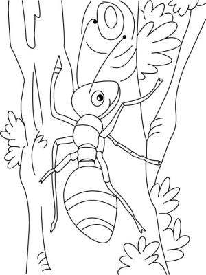 Tırmanma boyama sayfası,  coloring page, Karınca Tırmanışı, 