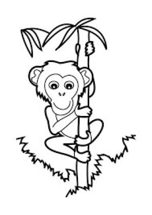 Tırmanma boyama sayfası,  coloring page, Maymun Tırmanışı, 